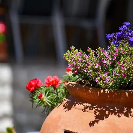 Гостевой дом Jaklin Банёл